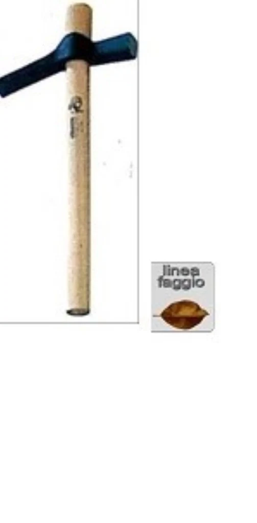 Immagine prodotto 1